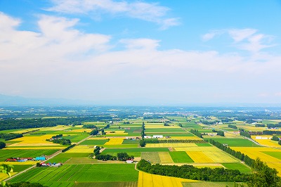 AdobeStock_115411444